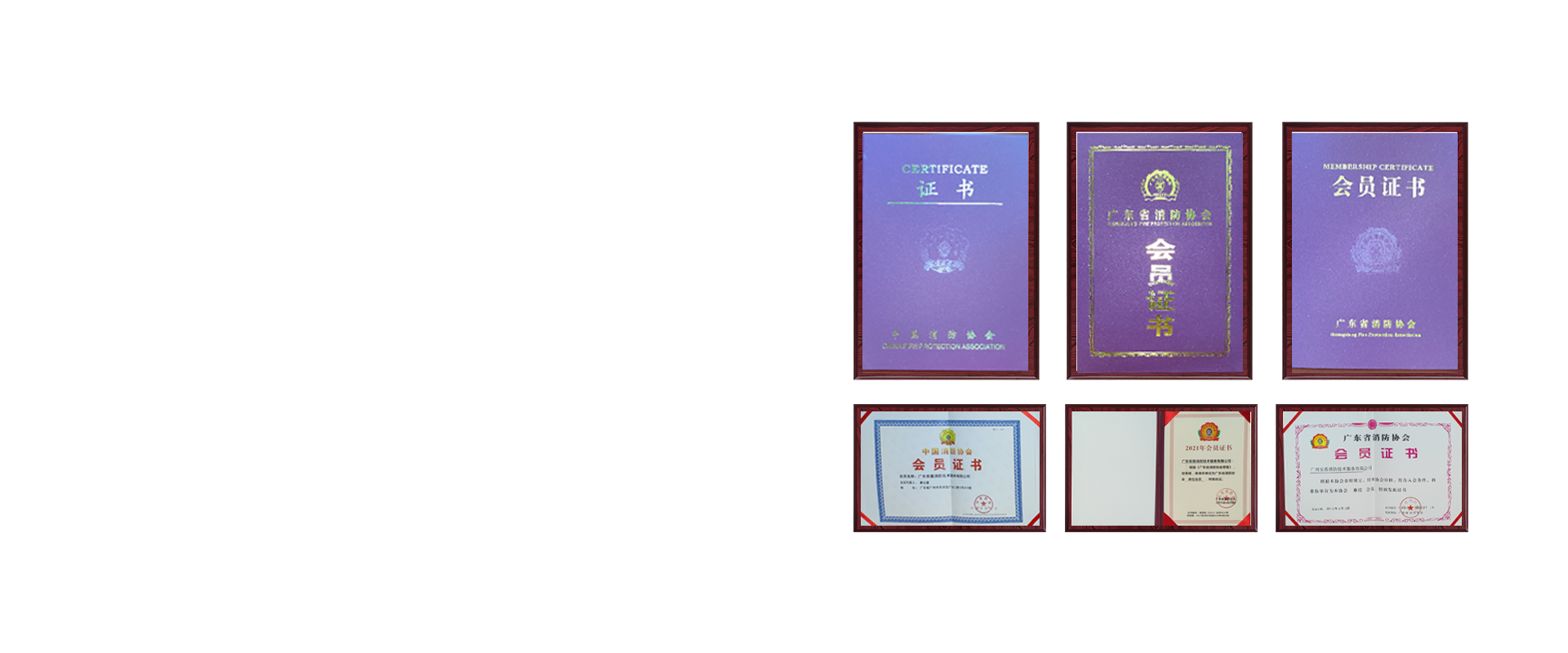 banner3